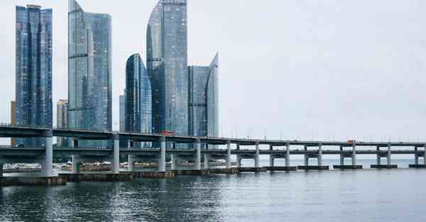 外国语单招大数据的行业文章