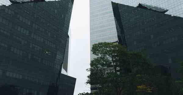 AI绘画神印王座月夜公主（神印王座月夜最后咋了）