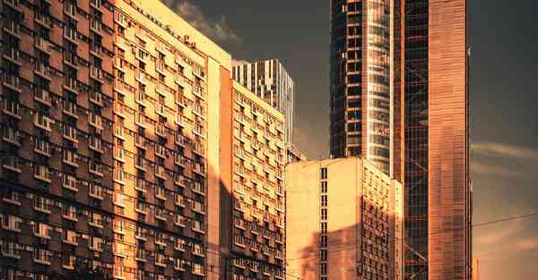 办税服务厅智能机器人