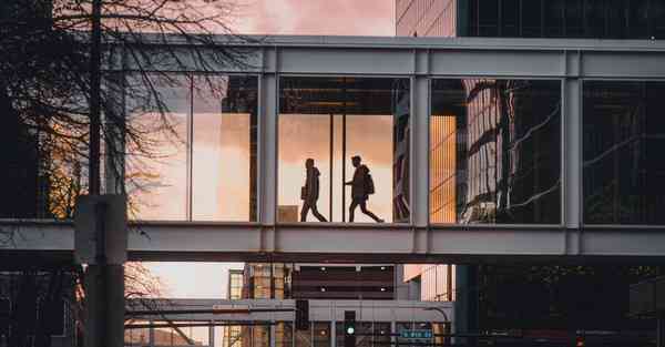 外国语单招大数据的行业文章