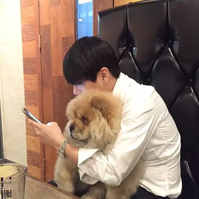 宗梦菁珍