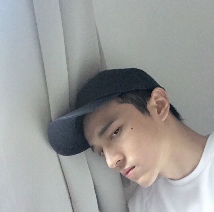 柏秀凤琦