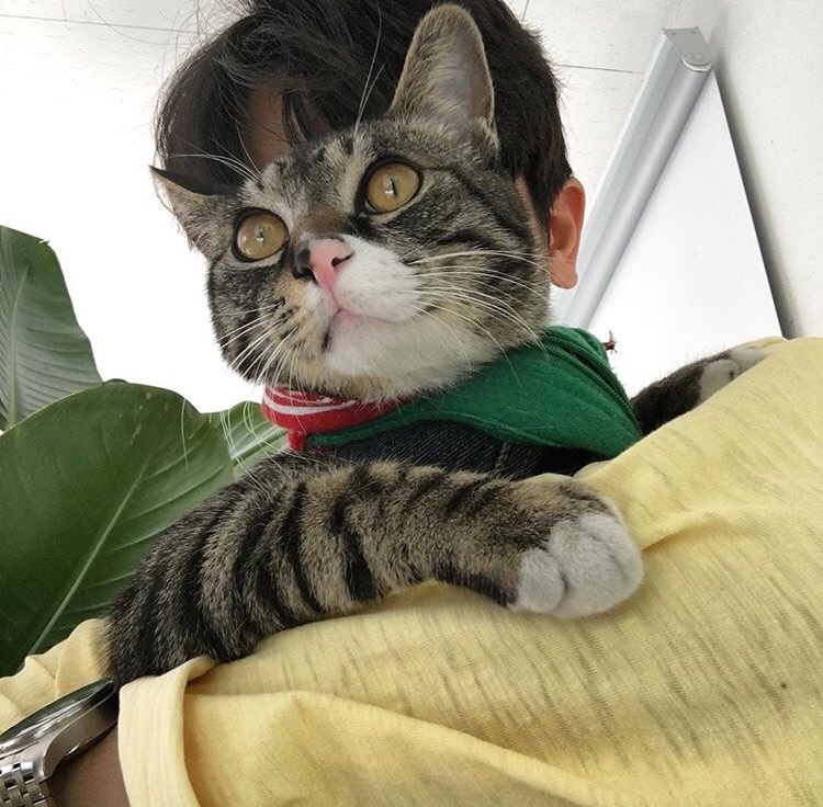 容翠希震