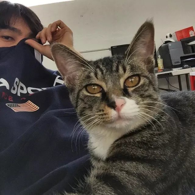 凤彦蕊进