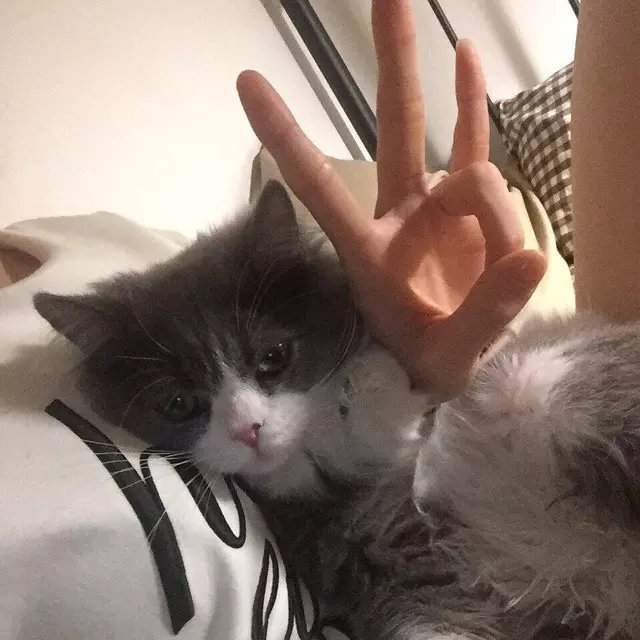 习兰罡伦