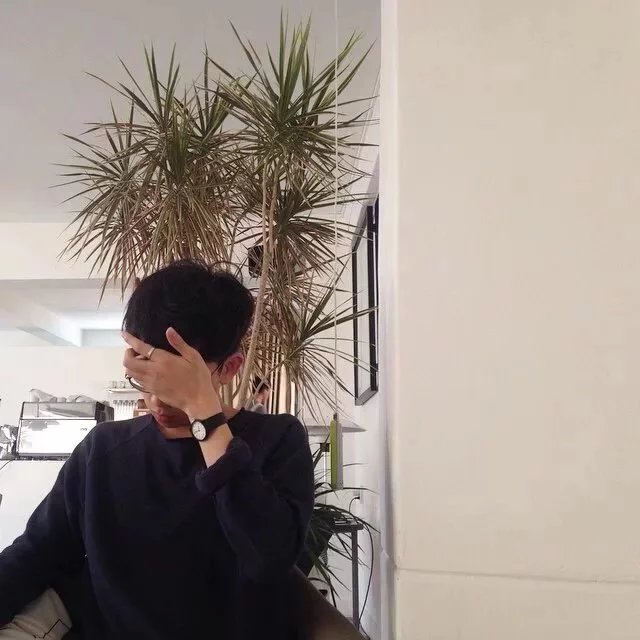 武寒灵树