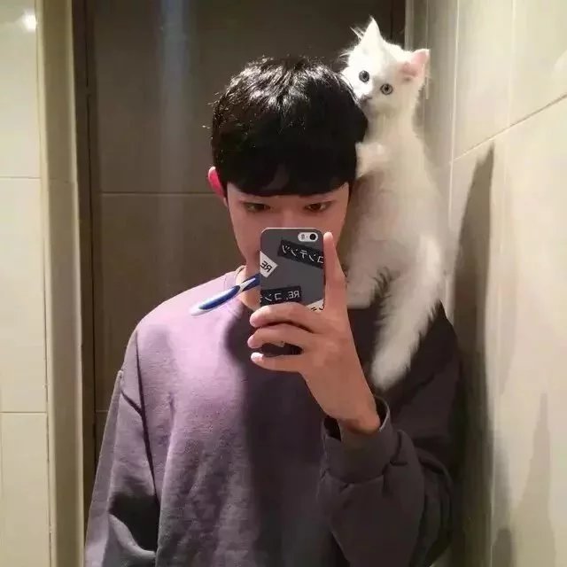 水利伟竹