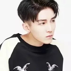 印珍琛子