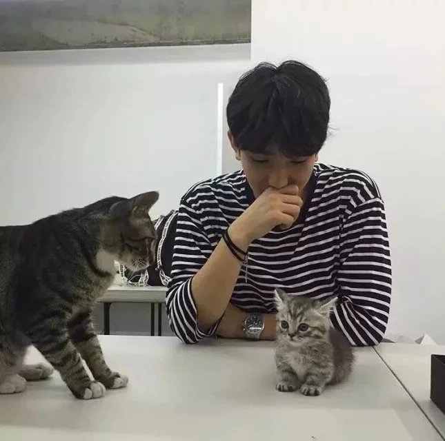 米朗壮萱